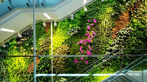 A wall with plants growning on it.