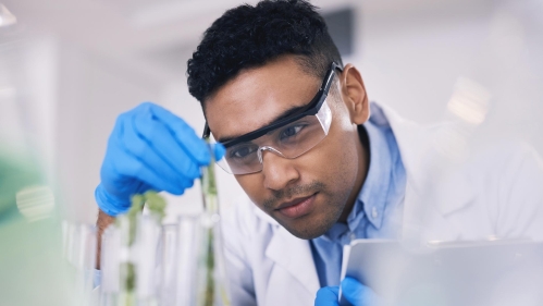 A scientist looking at a test tube.