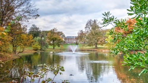 Passion Puddle and Martin Hall in the fall.