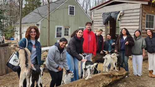 A group of students posing with goats on a farm.