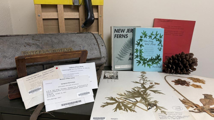 Herbarium specimens and botany-related objects laid out collage style. Plant press, barcode scanner, vasculum, three packeted specimens, two mounted specimens on herbarium paper, large pinecone and books.