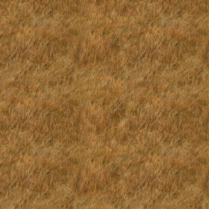 FPO