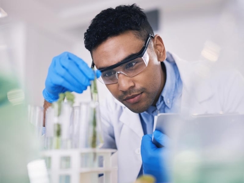 A scientist looking at test tubes.