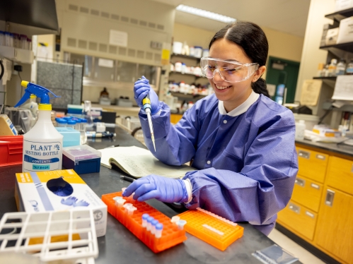 A student working in a lab.
