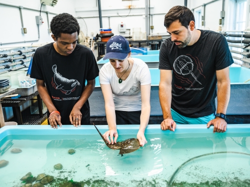 Three people looking into a pool of aquatic life.