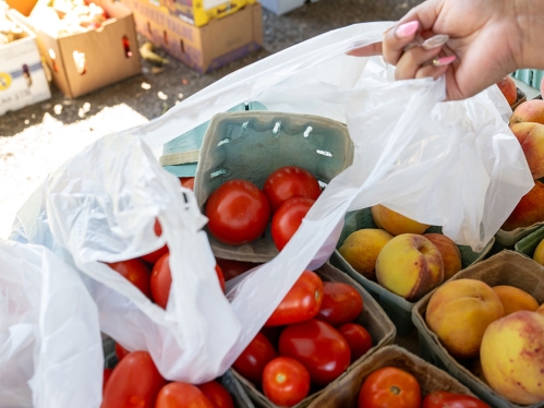 A hand hand holding a bag of tomatoes.
