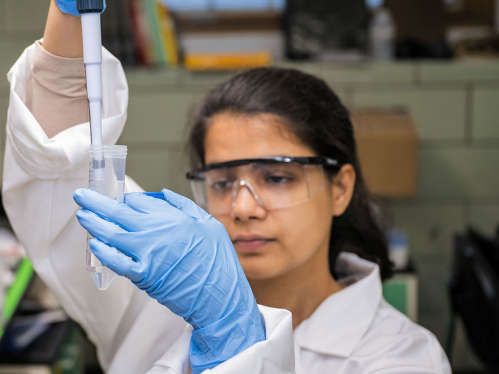 A student working in a lab.
