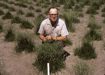 C. Reed Funk in a turf research field.